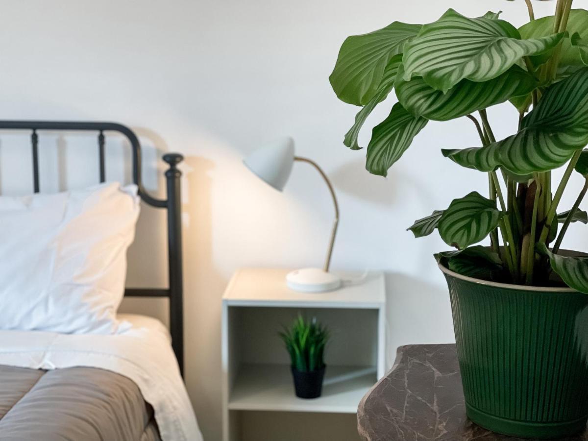 Sestio House Apartman Róma Kültér fotó